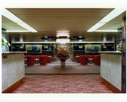 Cruise Lines